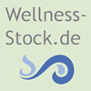 Hier kommen Sie zur groen WEB-Seite von WELLNESS-STOCK