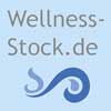 Hier kommen Sie zur groen WEB-Seite von WELLNESS-STOCK